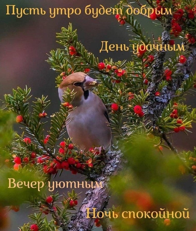 Христианские цитаты