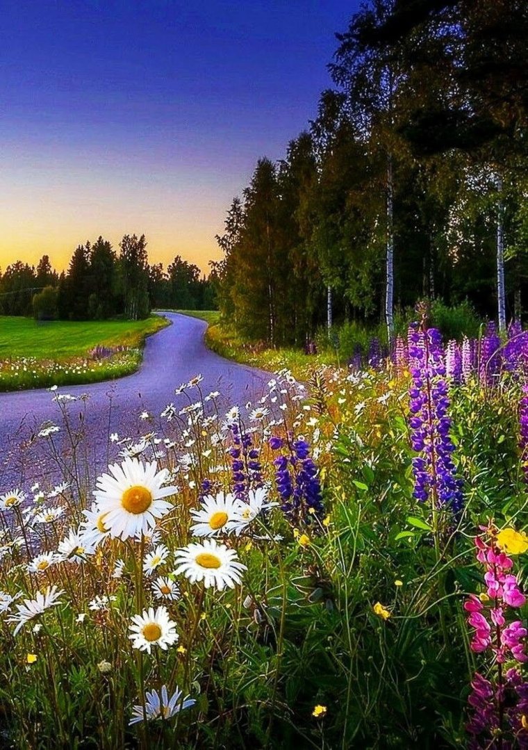 Открытки с добрым утром на татарском