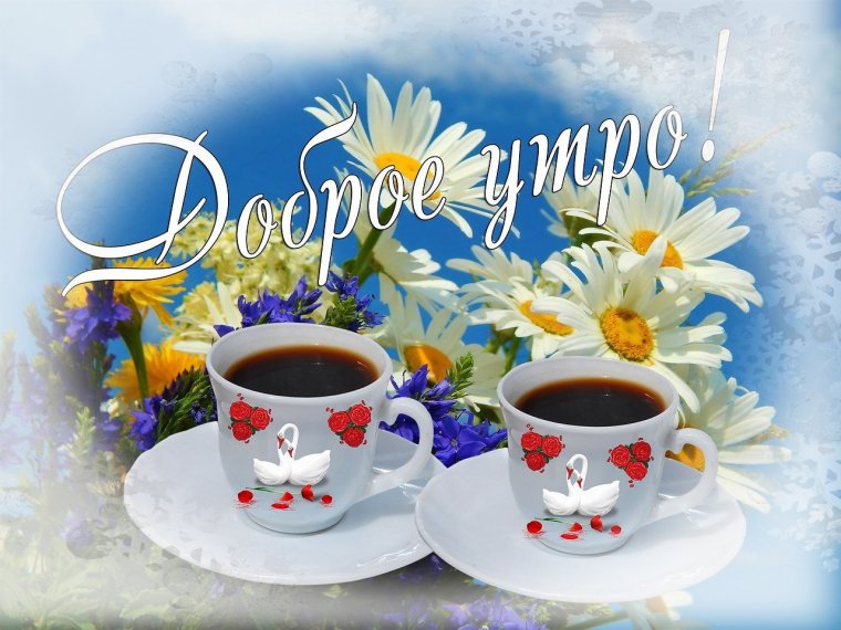 Пожелание доброго утра цветы