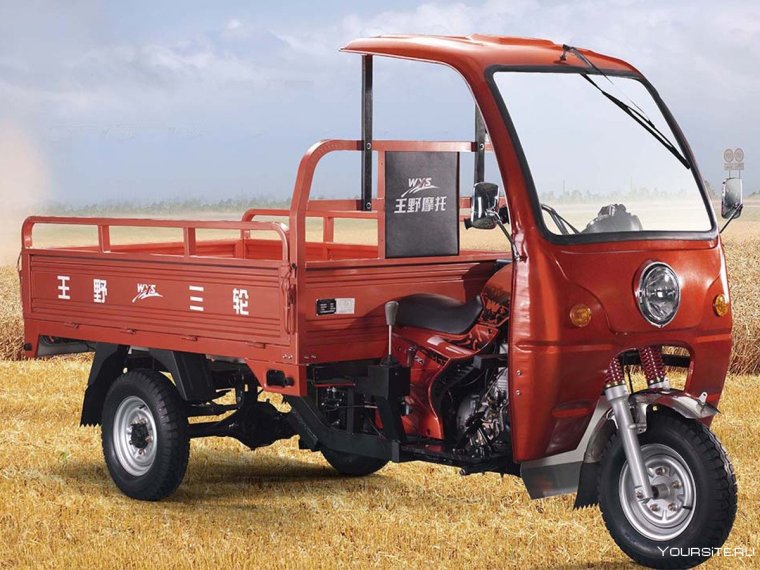 Грузовой мотороллер муравей