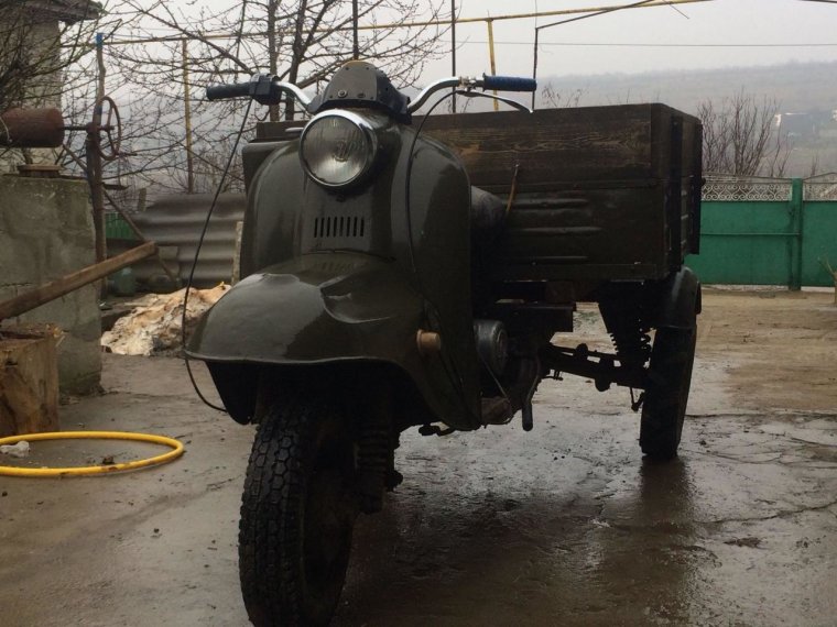 Муравей Тула