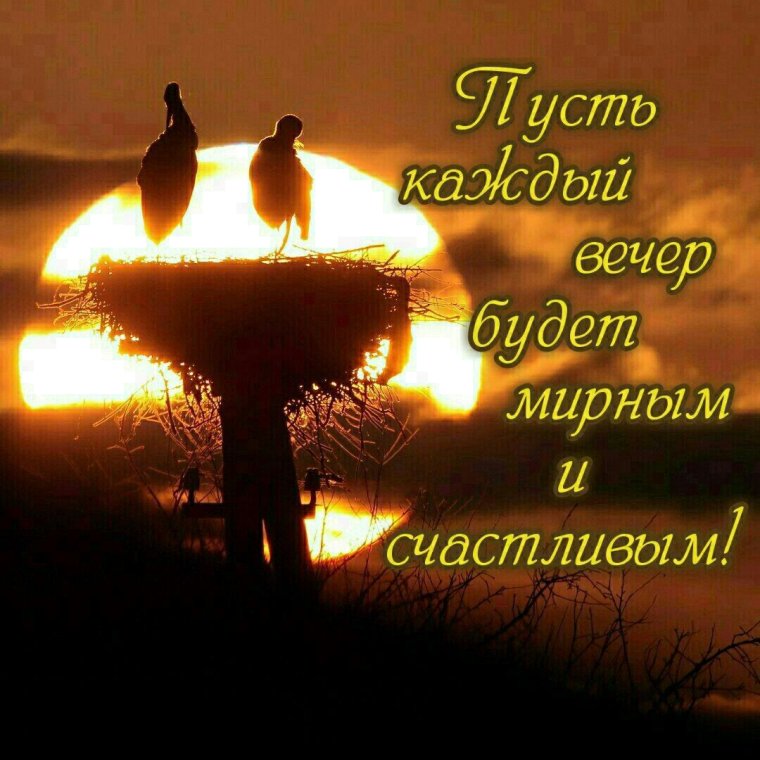 Спокойной ночи Донбасс