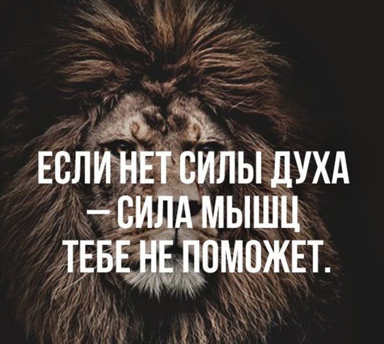 Высказывания о силе духа