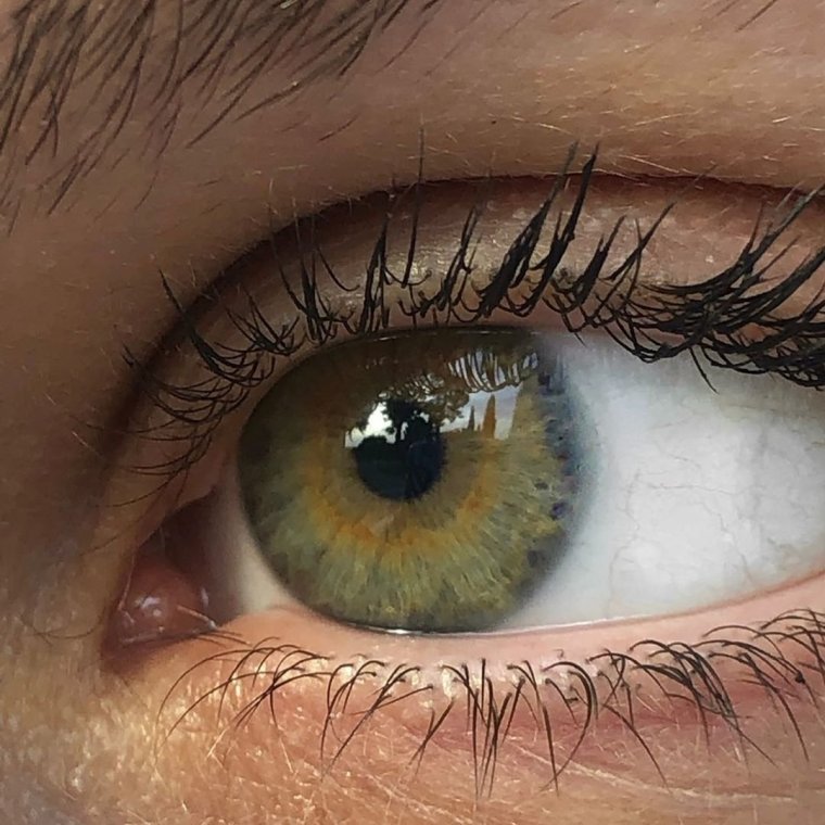 Тёмно зелёные глаза