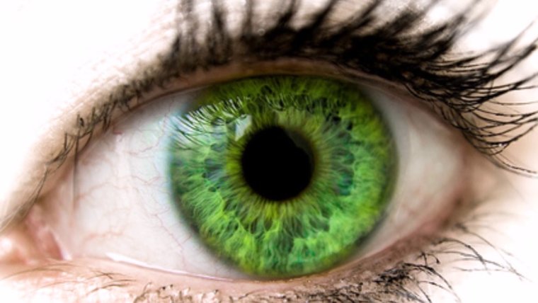 Болотный цвет глаз гетерохромия