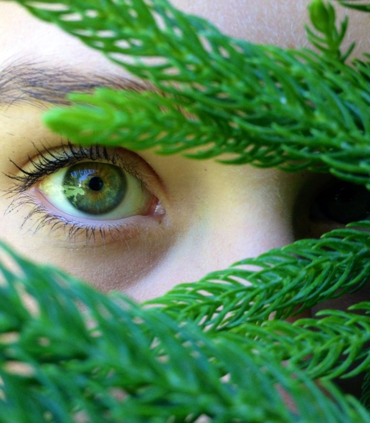 Женские зеленые глаза