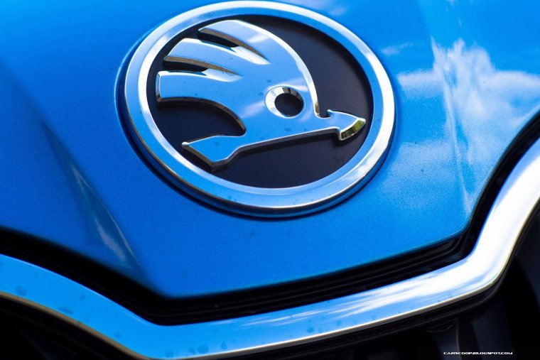 Значок птичка на машине