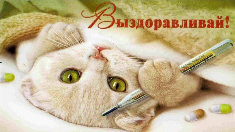 Выздоравливай картинки