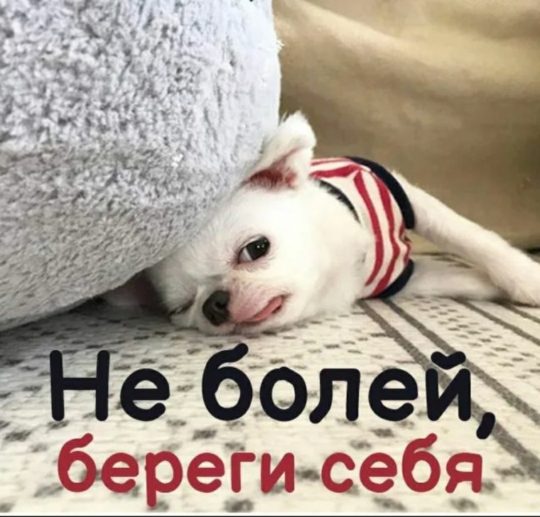 Не болей