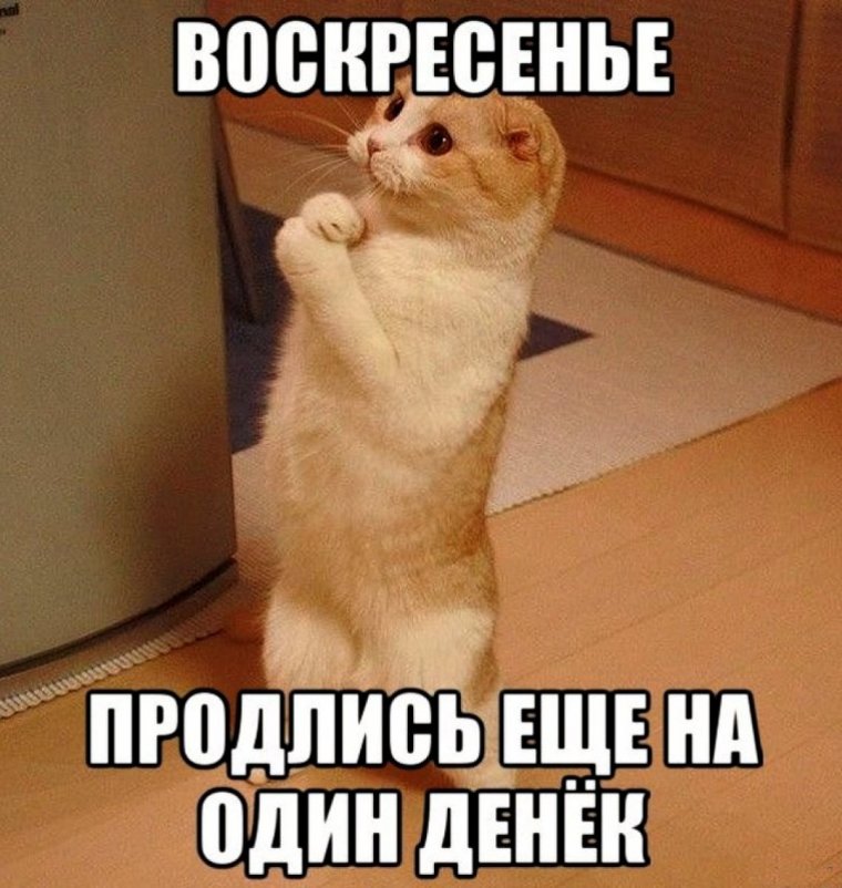 Прости меня