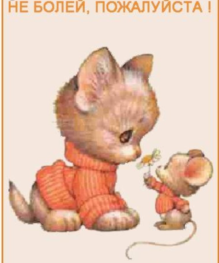 Не болей котенок