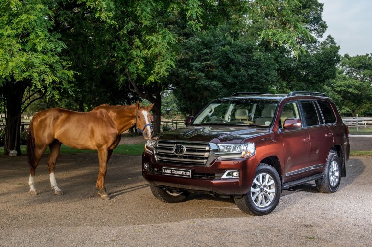 Марка Форд Мустанг