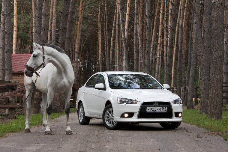 Аэрография лошади на авто