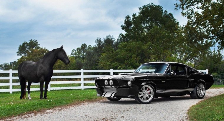 Лошадь Феррари