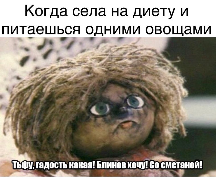 Домовёнок Кузя на тропе войны