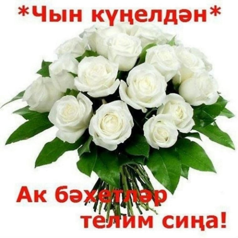 Раиса апа туган конен