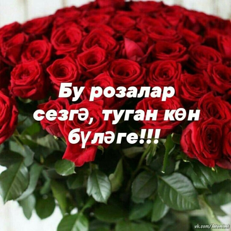 Котлыйм картинки