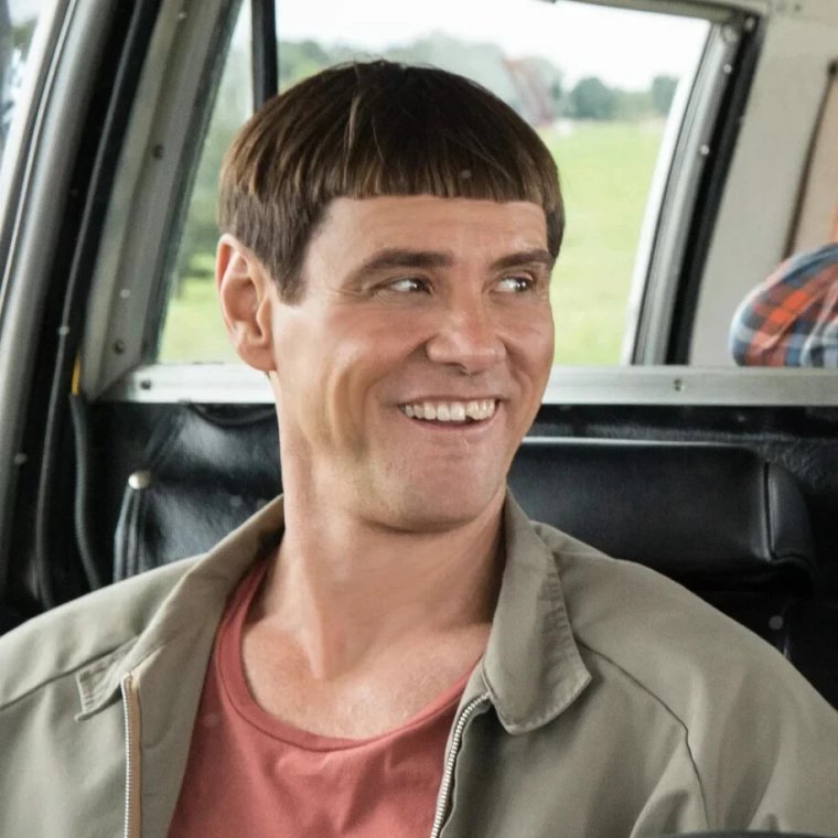 Тупой и ещё тупее gif