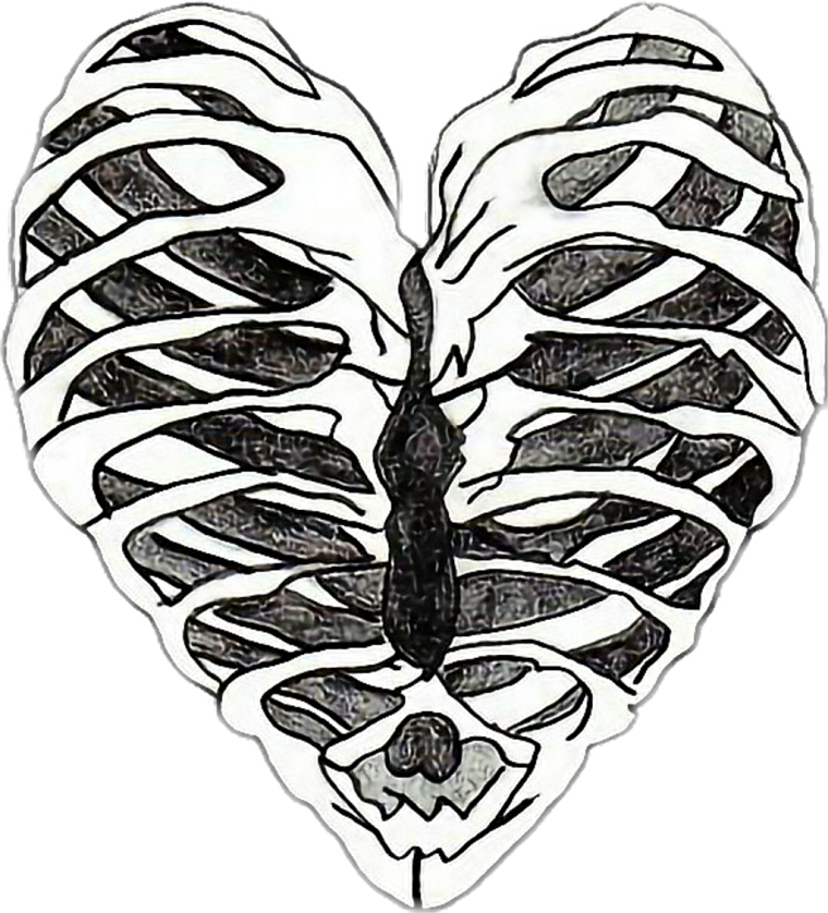 Сердце рисунок