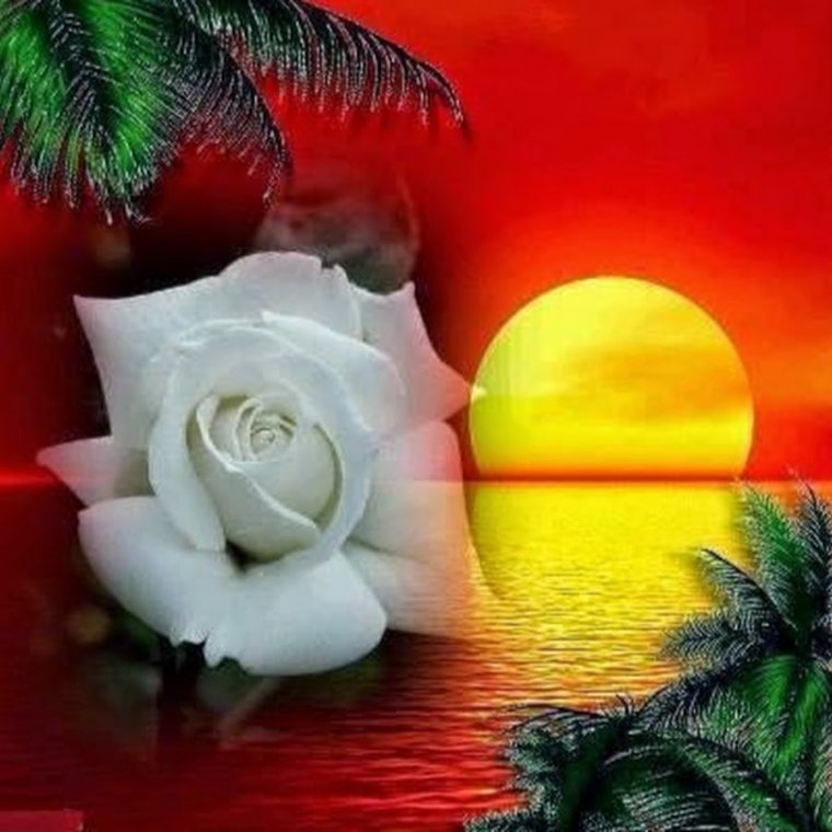 Добрый вечер солнышко