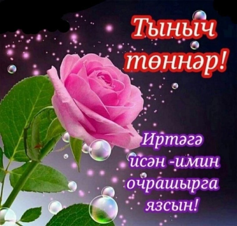 Спокойной ночи на татарском языке