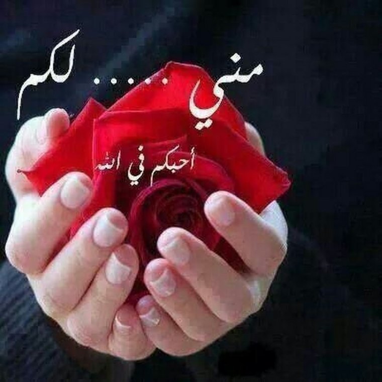 Ульябаева Русалина