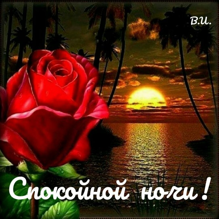 Доброй ночи дорогие друзья