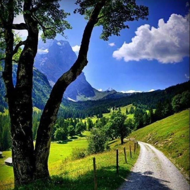 Ландшафт природы