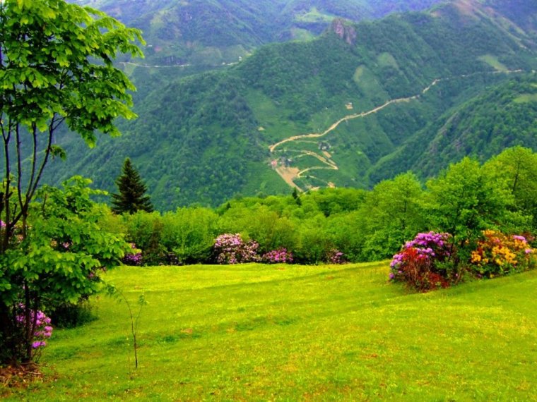Гузал табиат фото
