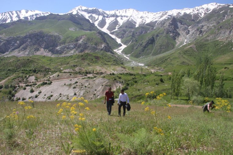 Узбекистан Хисор тоги