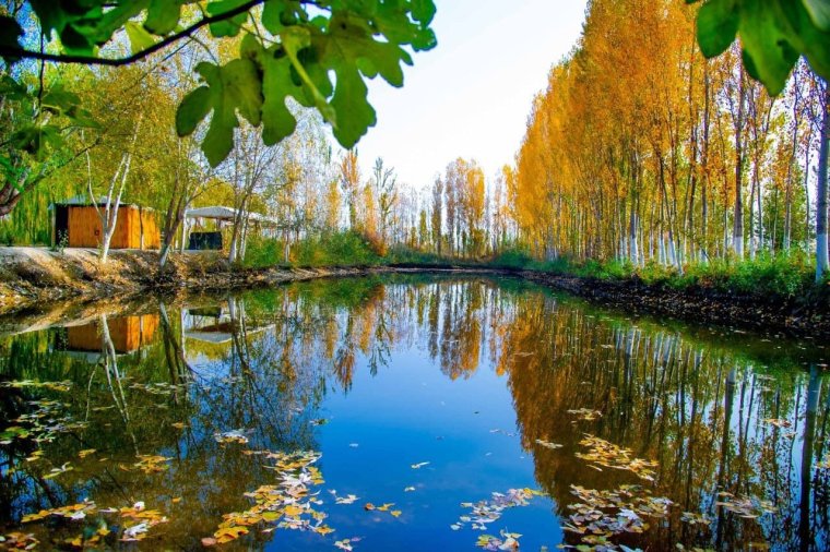 Кор манзаралари