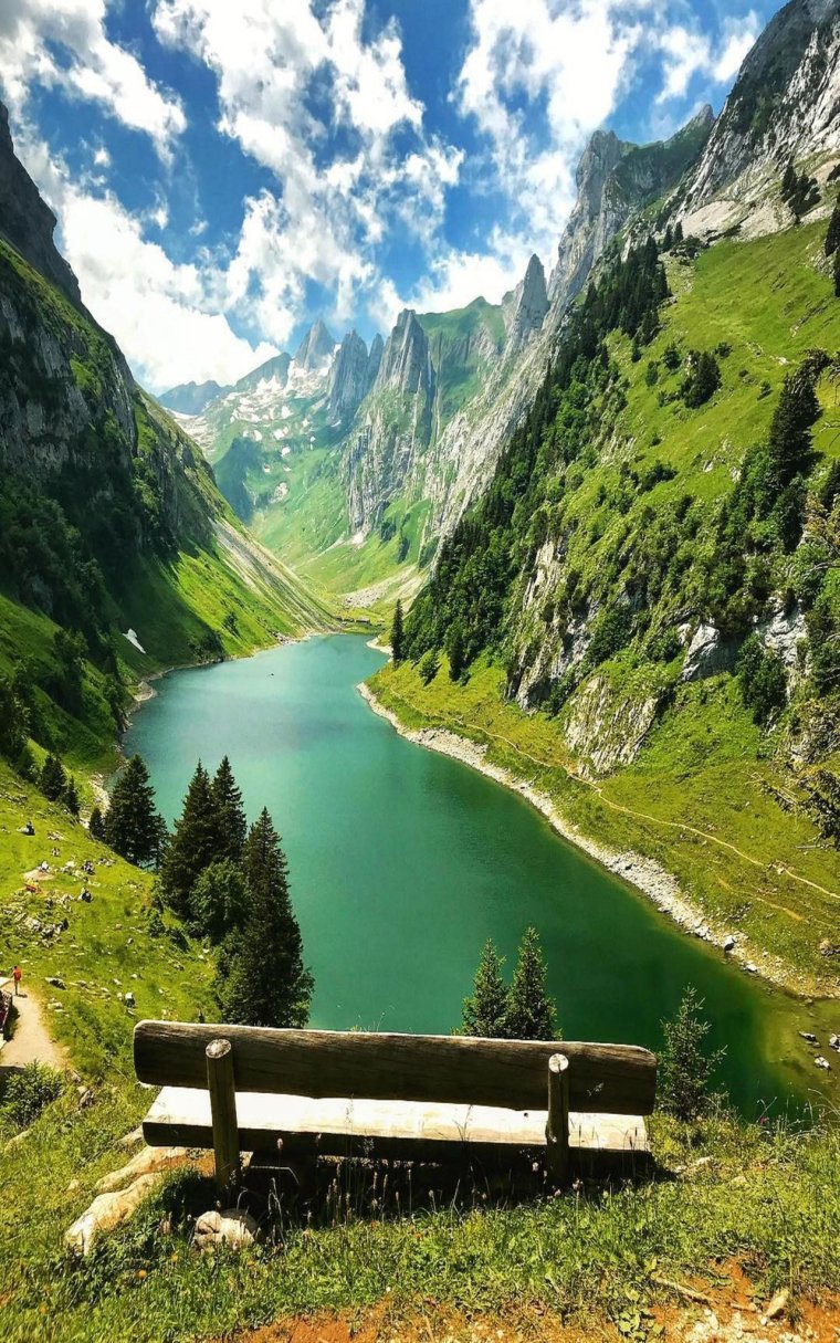 Расим табиат