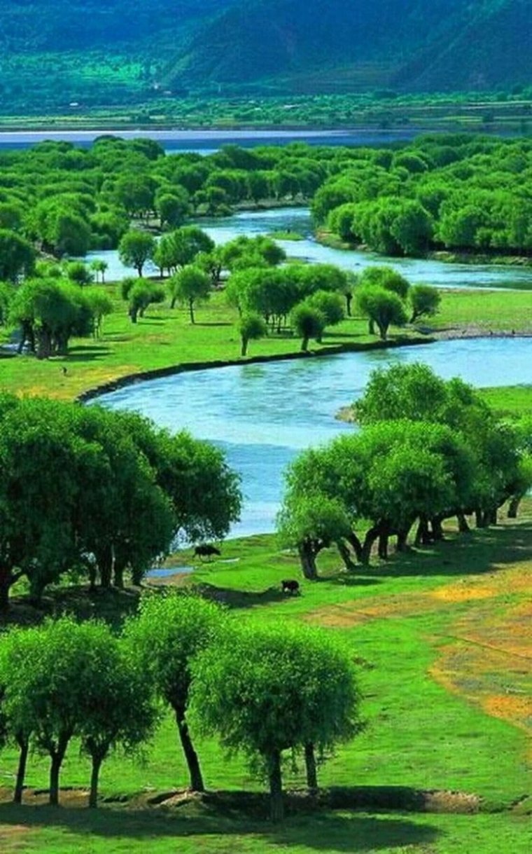 Испания табиати