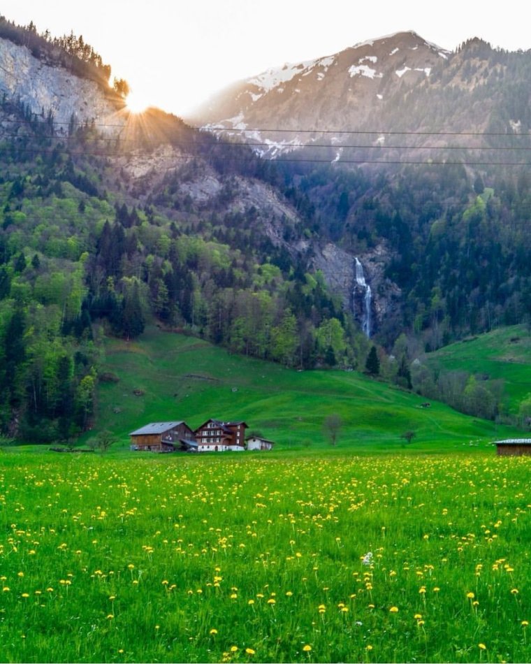 Урмон манзаралари