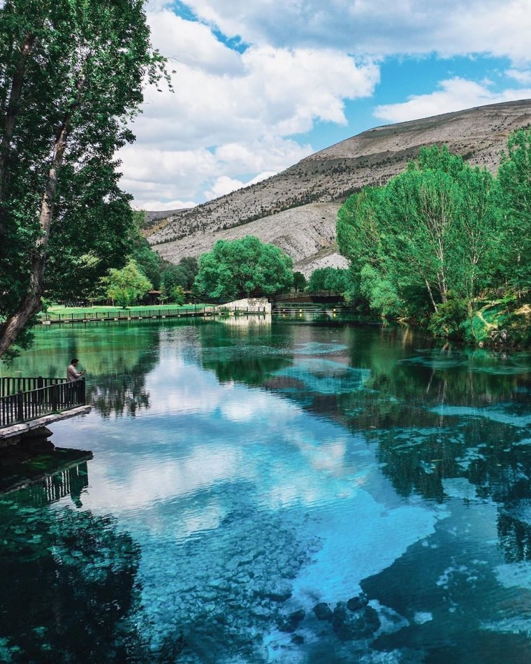 Манзарали шаршаралар