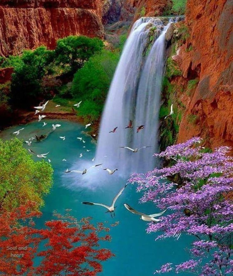 Табиат манзараси