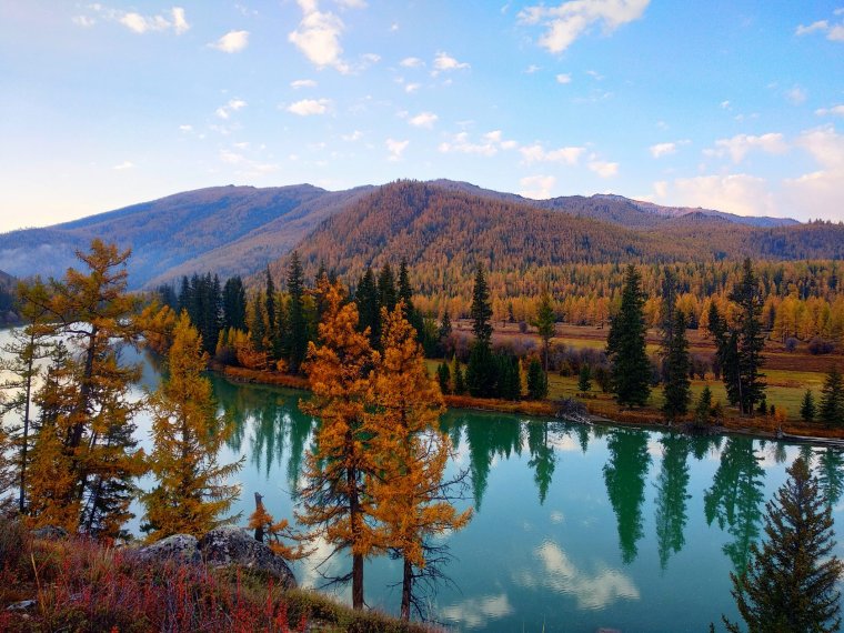 Кушлар Бор манзаралар