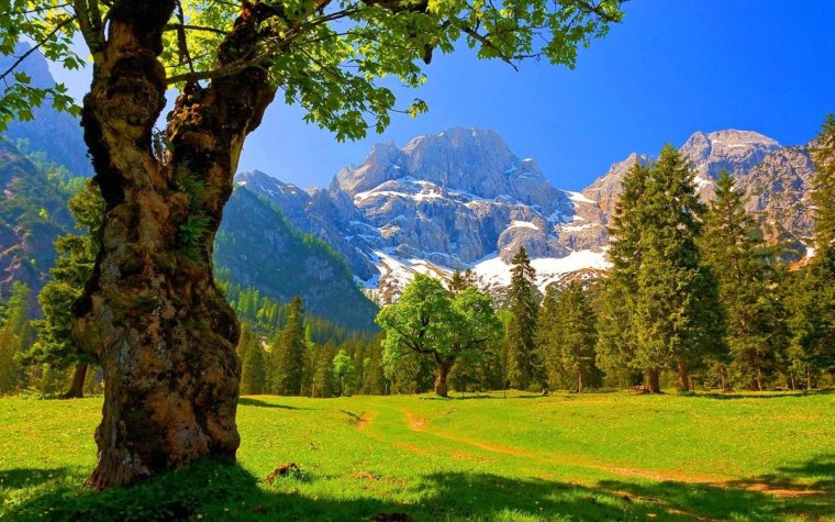 Табиат манзараси