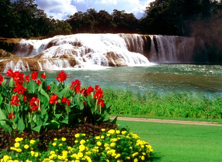 Гулар манзараси