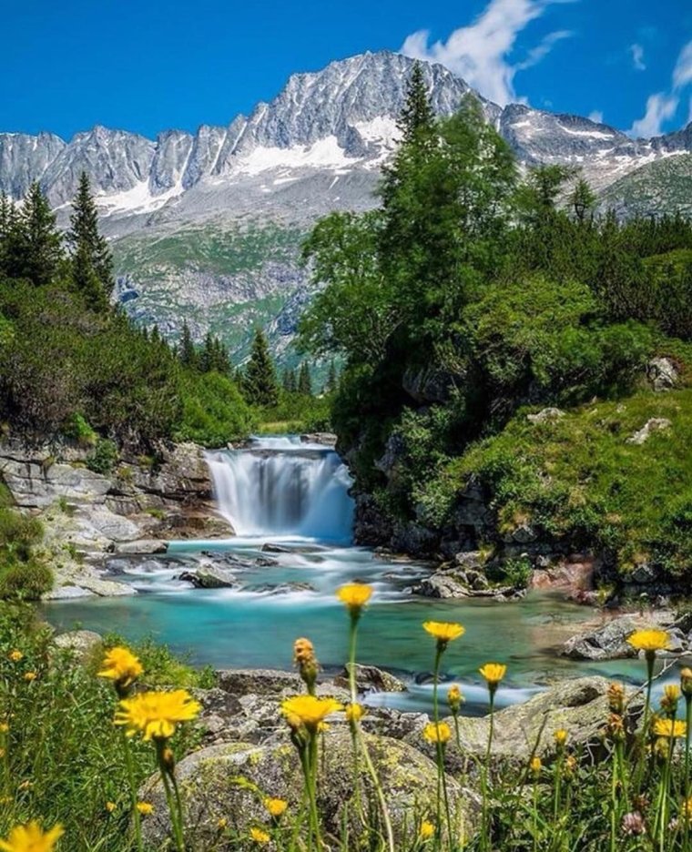 Табиат манзараси