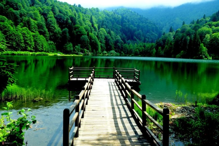 Табиат манзараси