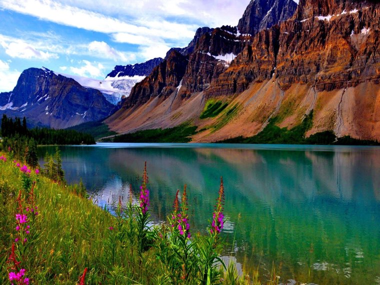 Тог манзаралари табиат