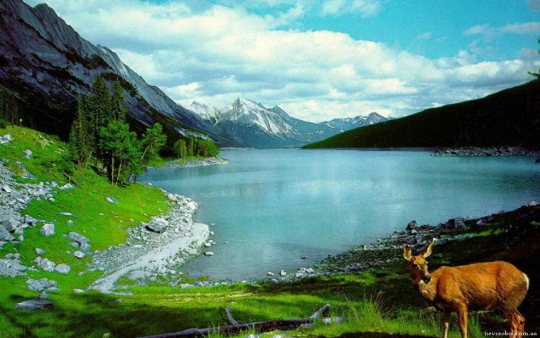 Богатства природы