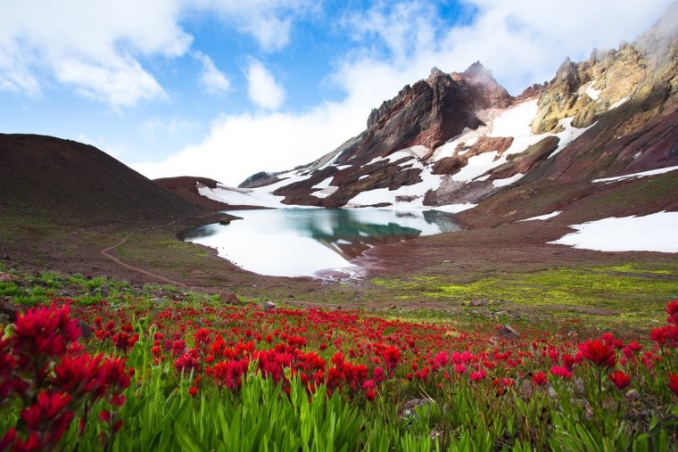 Табиат манзаралари Бахор