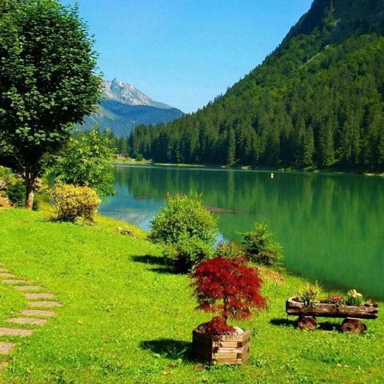 Тонги Манзара