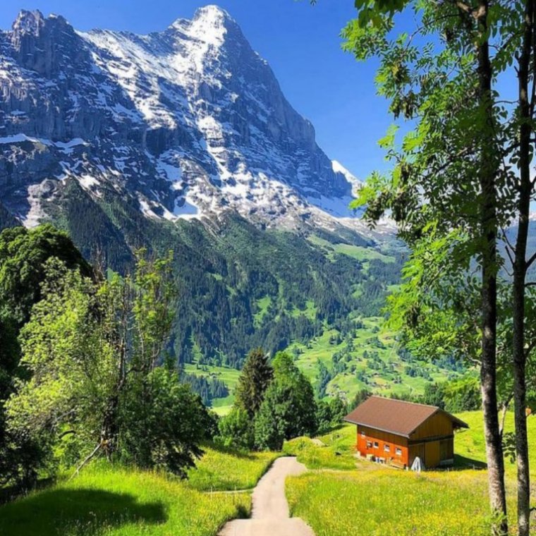 Швейцария табиат манзаралари