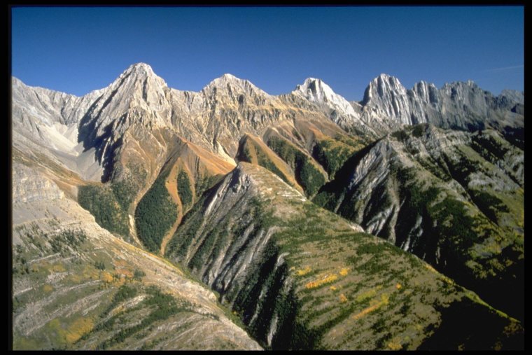 Табиат манзаралари картинка