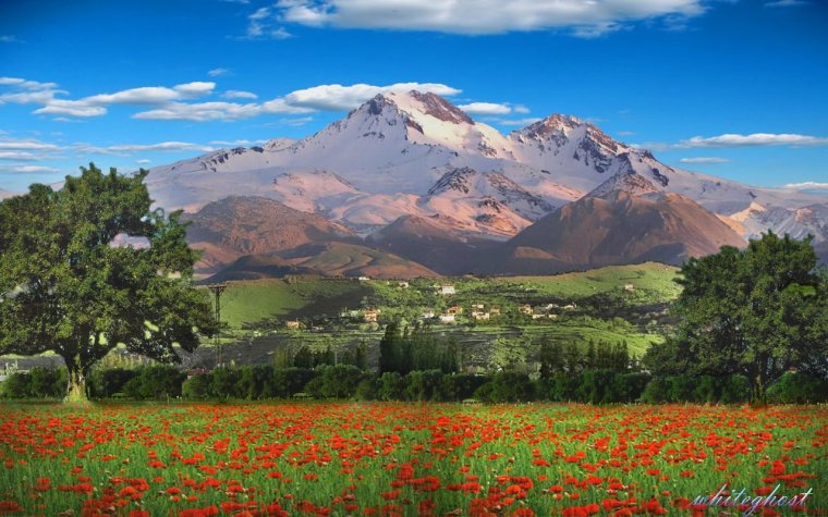 Alp Daginin yerlesdiyi materik