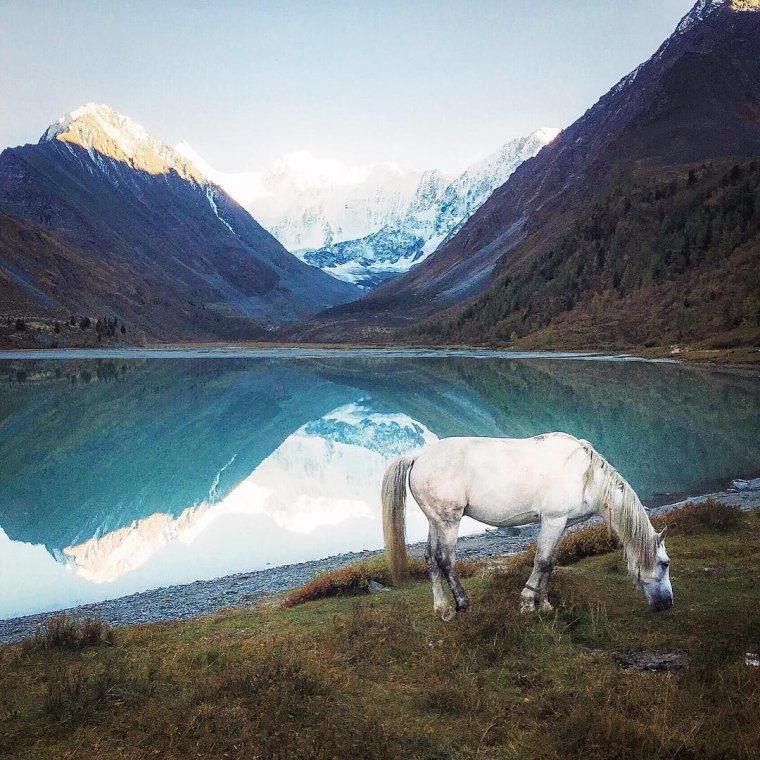 Путешествие на Алтай