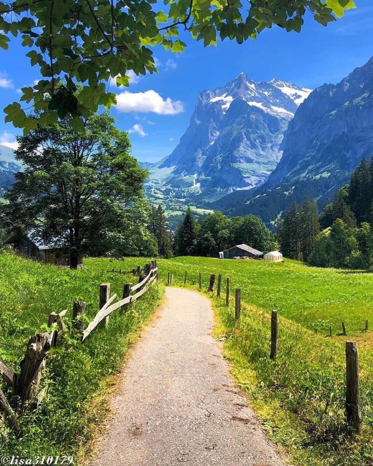 Швейцария манзаралари